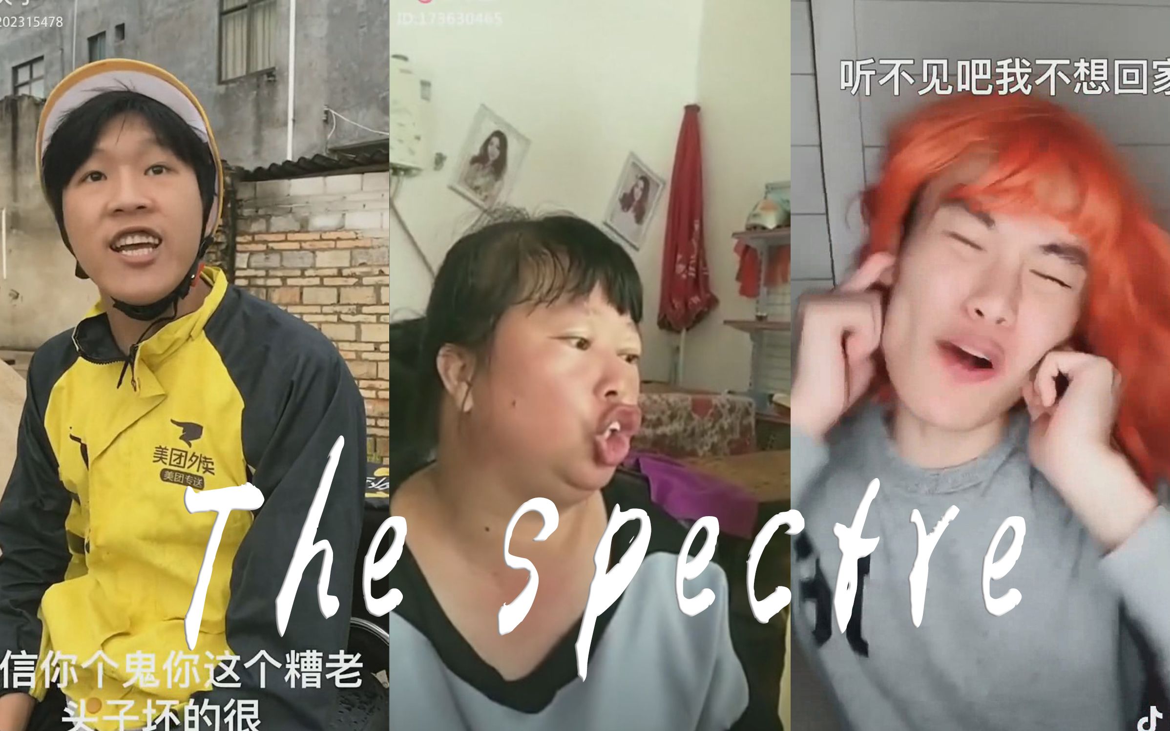 【抖快三巨头】The Spectre哔哩哔哩bilibili