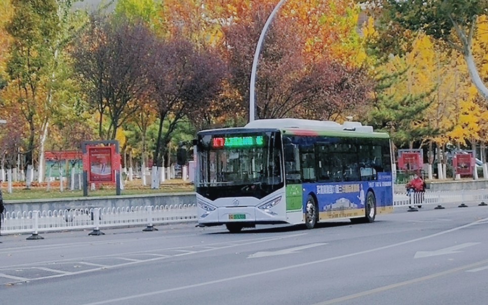 [图]枫叶长青，青山不老，不敌岁月的侵蚀。——临沂公交K7路POV