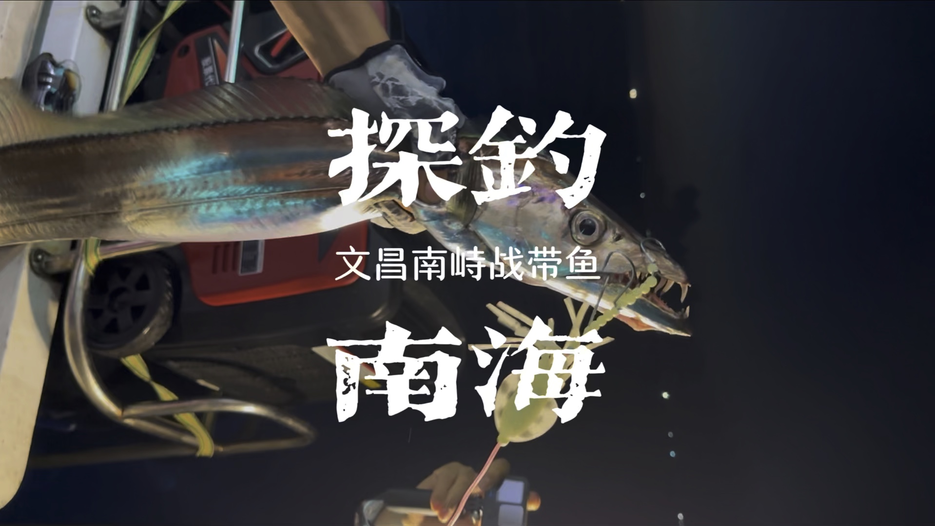 这是人类历史上最炸裂的夜钓带鱼视频