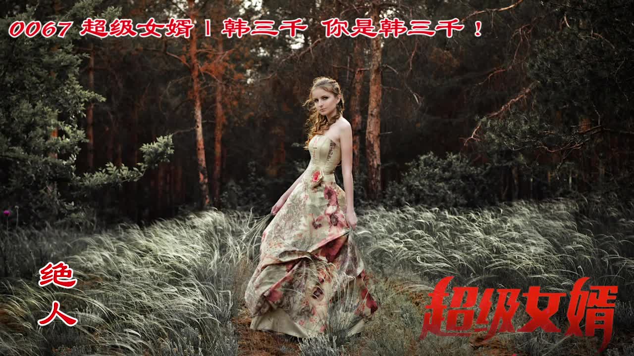 [图]【0067】豪婿韩三千更新完整版，你是韩三千！