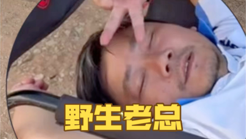 随地大小睡的野生老总#张雪# #张雪机车# #摩洛哥拉力赛#