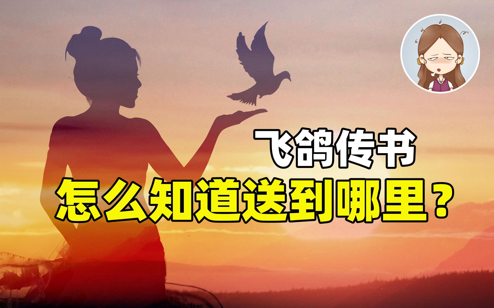 [图]鸽子为什么能送信？又是怎么知道送到哪里呢？不会迷路吗？