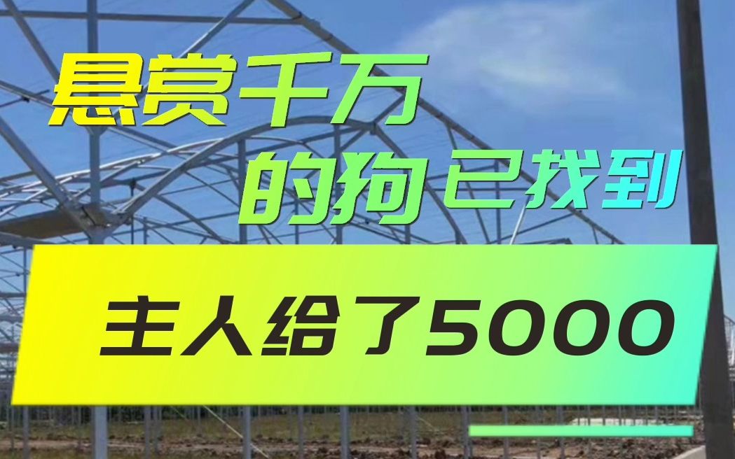 [图]铜川黄陵 生态花卉温室 独栋日光大棚 外观大气 中科 农用种植 ZKHL-05