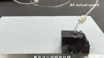 全新硅基生物诞生？