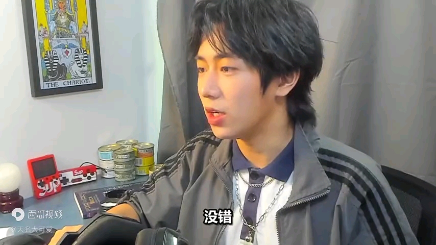 关于天名大可爱所谓的家暴虐待动物等谣言背后的真相