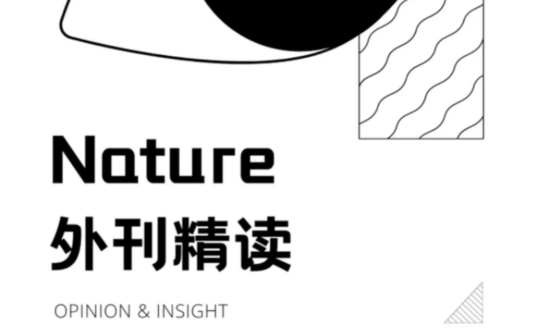 [图]2022.4.3. Nature. 中国的第一颗月球陨石——探秘月球演变史的“窗口”（下）