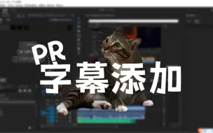 Download Video: 【PR教程】添加字幕