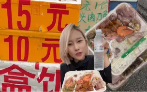 Download Video: 东北路边摊盒饭，15一份还有大虾！豪华版午餐