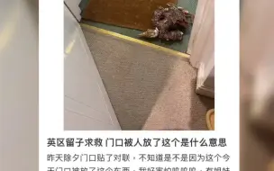 下载视频: 留学生家门口出现了莫名其妙的木偶，评论区笑裂了哈哈哈🤭🤣