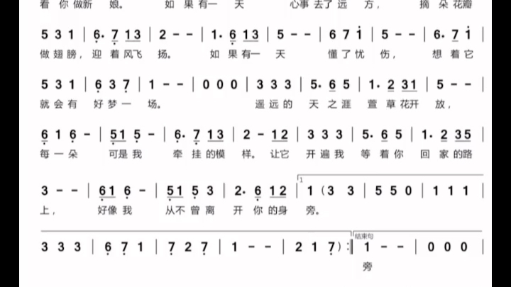 萱草花陶笛伴奏图片