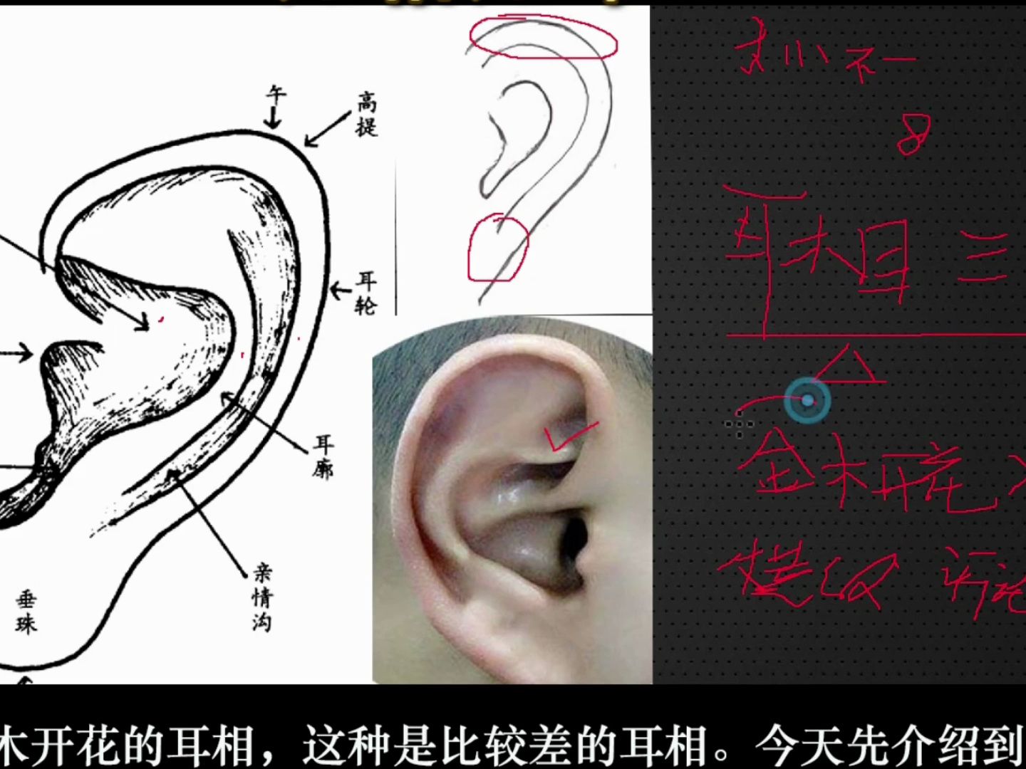 耳朵高低面相图片