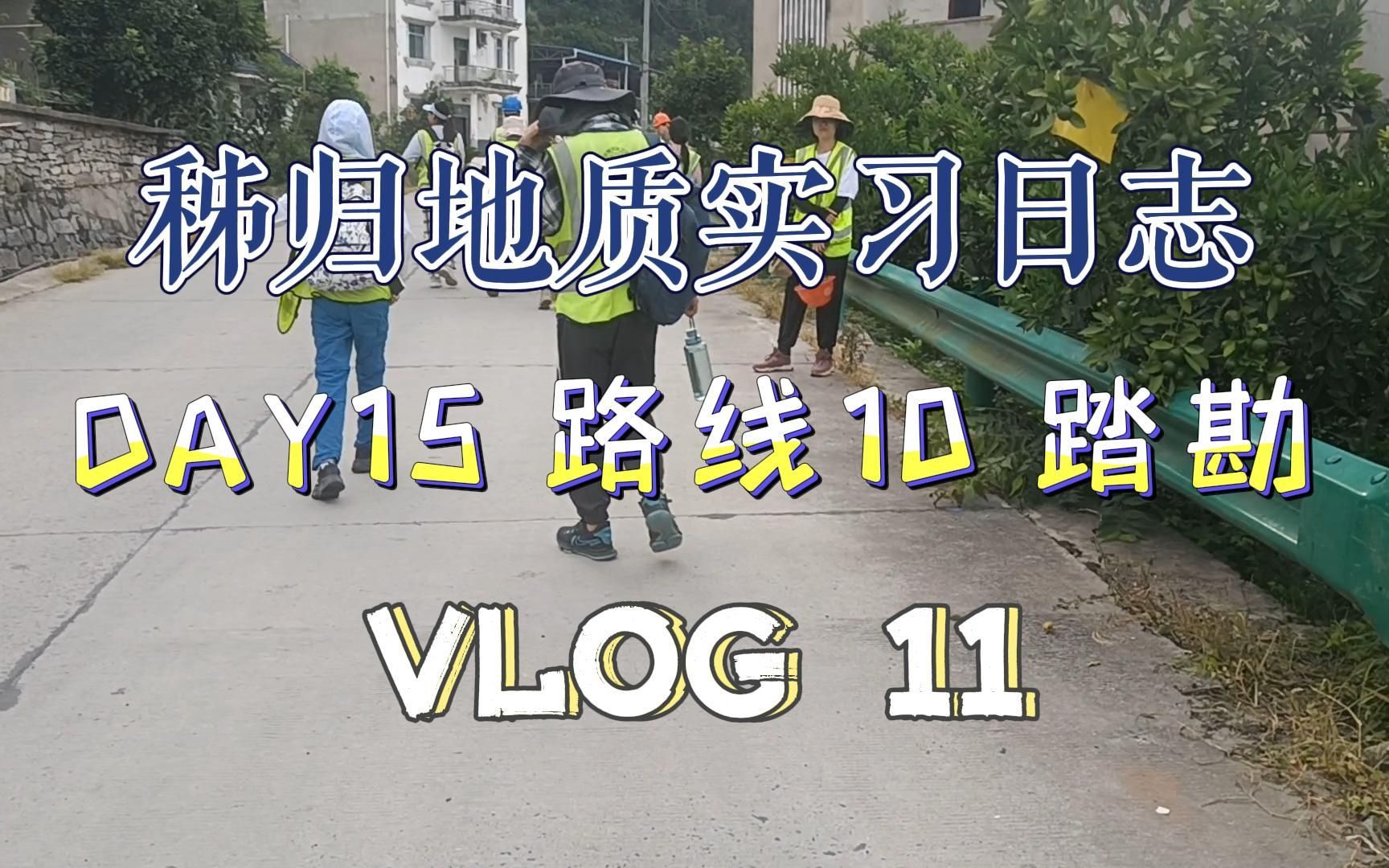 【秭归地质实习日志】vlog11 填图区踏勘 | 真硬核地质 | 烟雨三峡 | 中国地质大学(武汉)哔哩哔哩bilibili