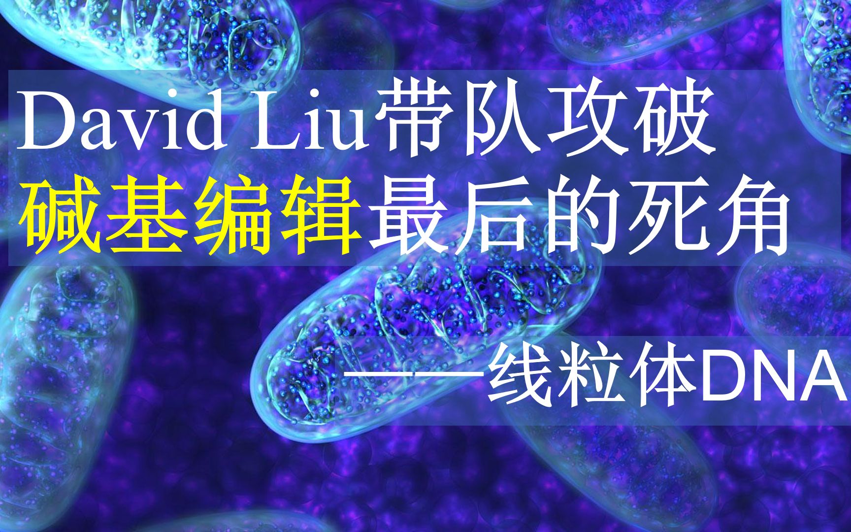 David Liu率队攻破碱基编辑最后的死角——线粒体DNA哔哩哔哩bilibili