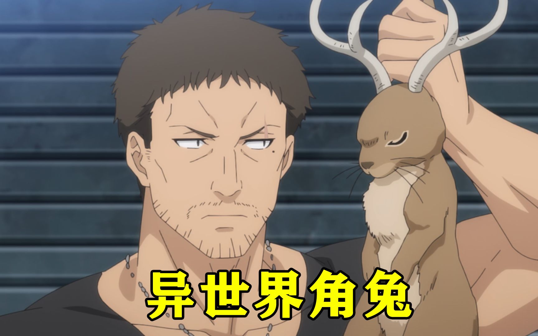 女主将异世界的角兔捉回地球,没想到这种生物震惊了整个生物界
