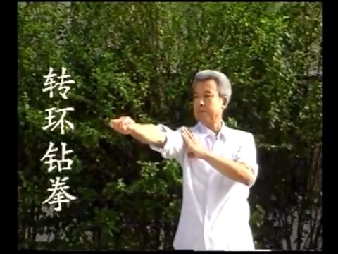 白猿通背拳教学哔哩哔哩bilibili