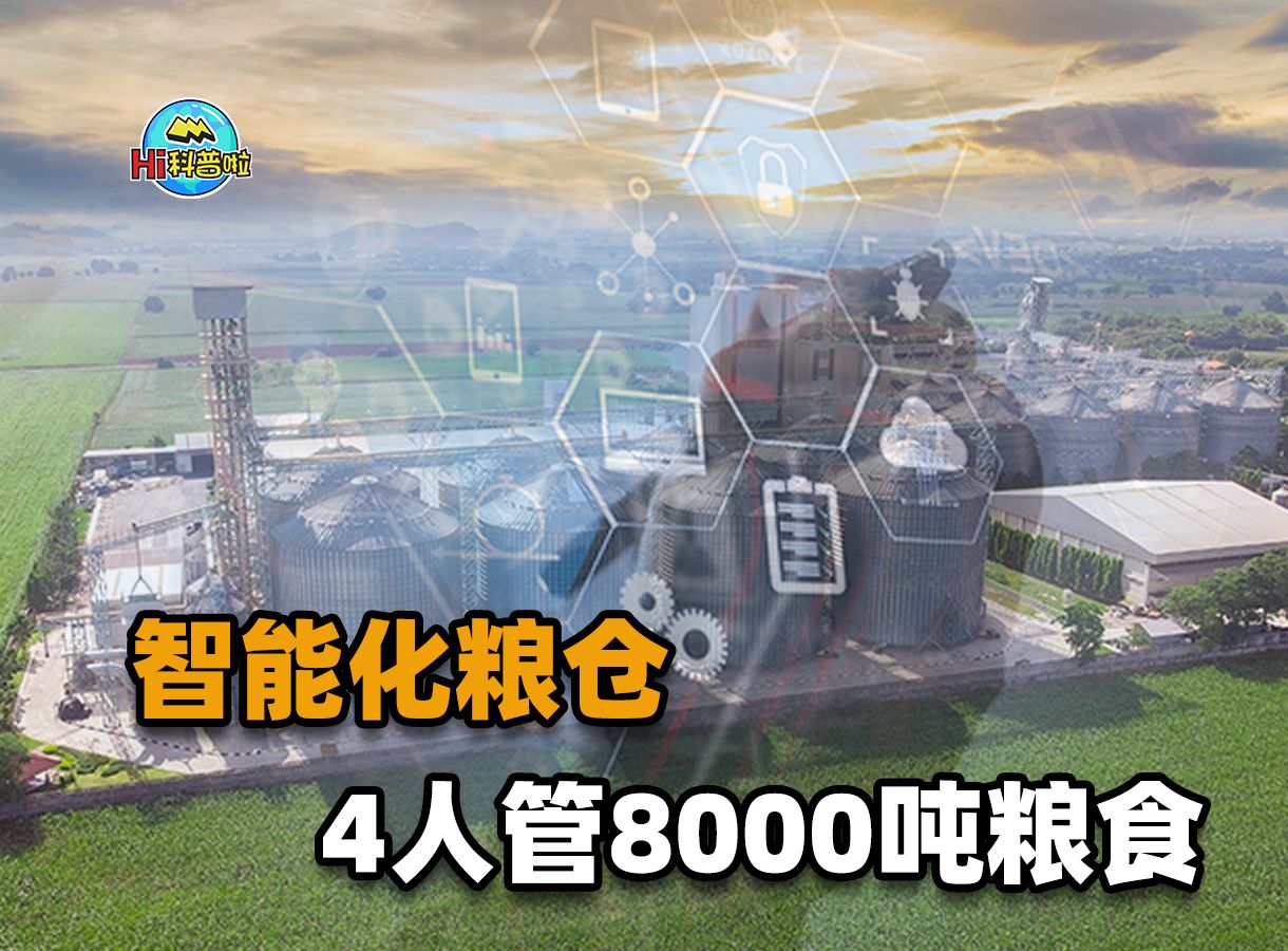 粮食也要住“智能房”？我国智能化粮仓，8000吨粮食只要4个人管