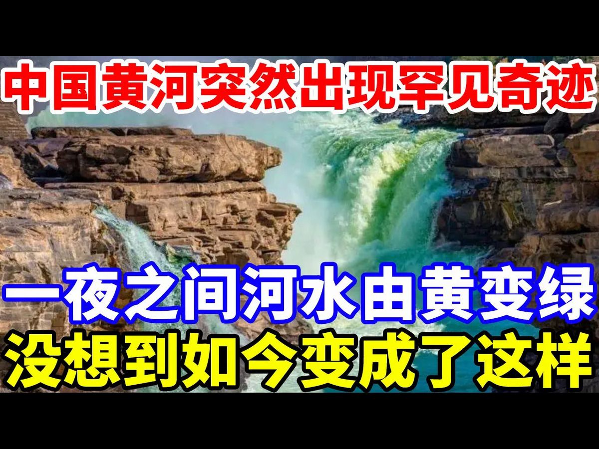 中国黄河突然出现罕见奇迹,一夜之间,河水由黄色变成了绿色.更没想到的是,如今竟变成了这样.哔哩哔哩bilibili