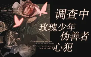 Tải video: 【调查中x伪善者x玫瑰少年x心犯】高声者，流血者，无名者，都一同闪烁【海卫十一】