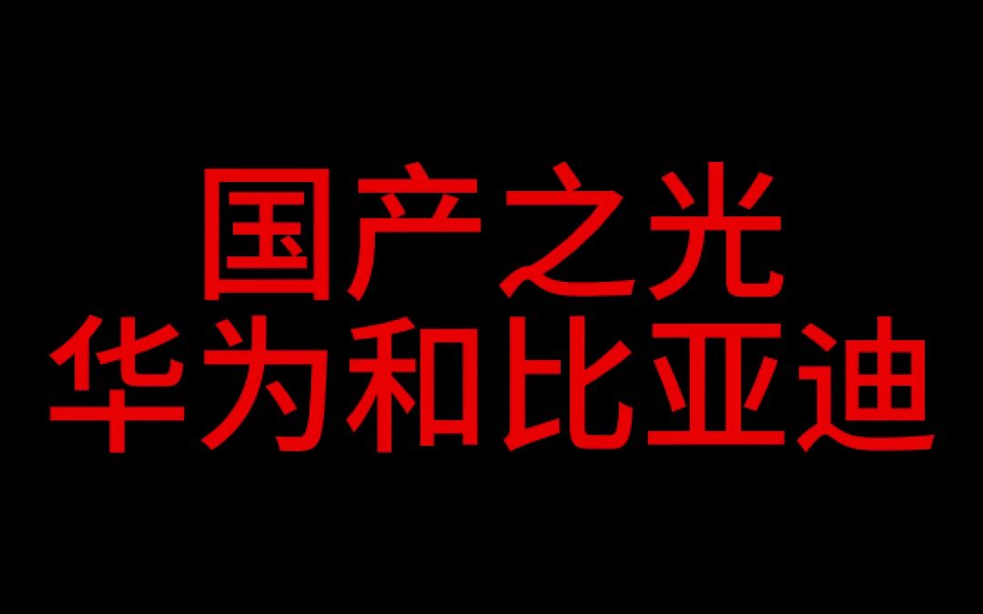 国产之光或许只有华为和比亚迪?哔哩哔哩bilibili