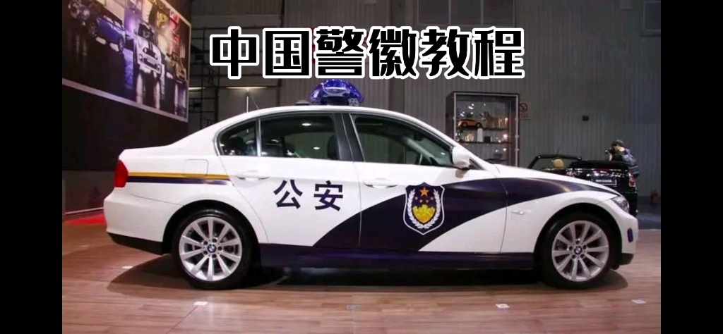 中国警徽教程(car parking)哔哩哔哩bilibili