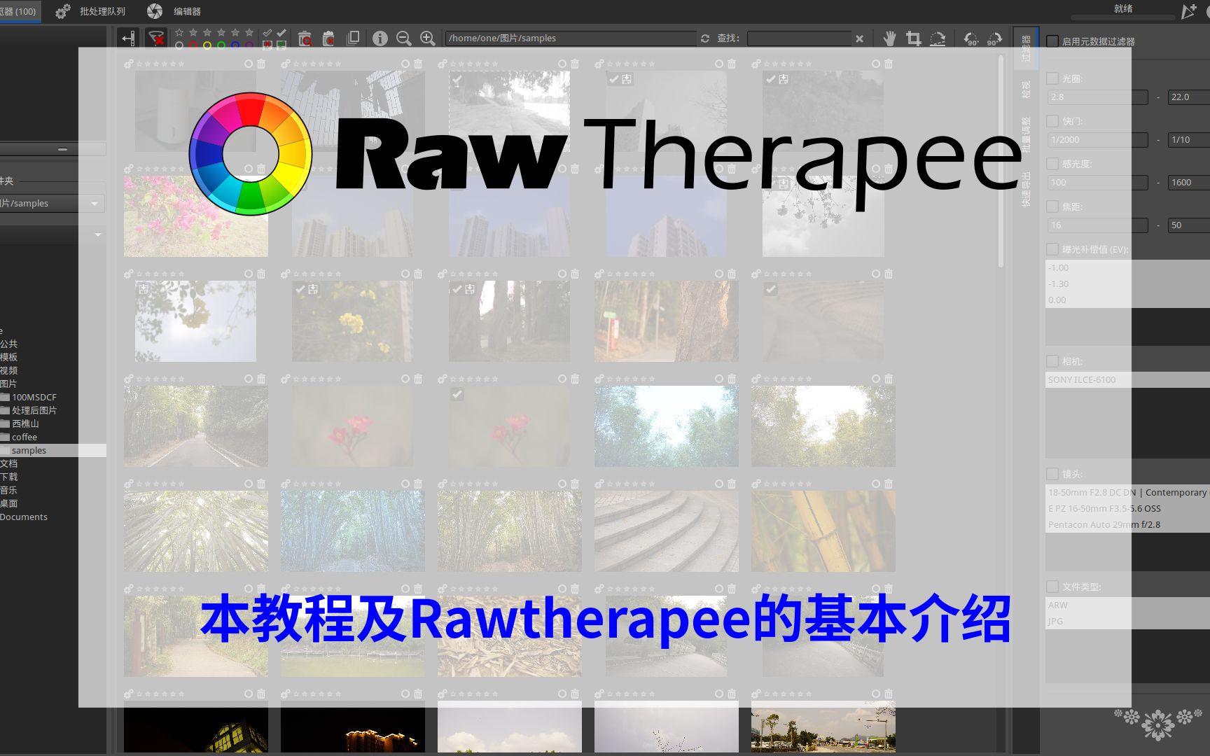 Lightroom代用品Rawtherapee中文教程、实例讲解——01本教程基本说明、Rawtherapee基本配置哔哩哔哩bilibili