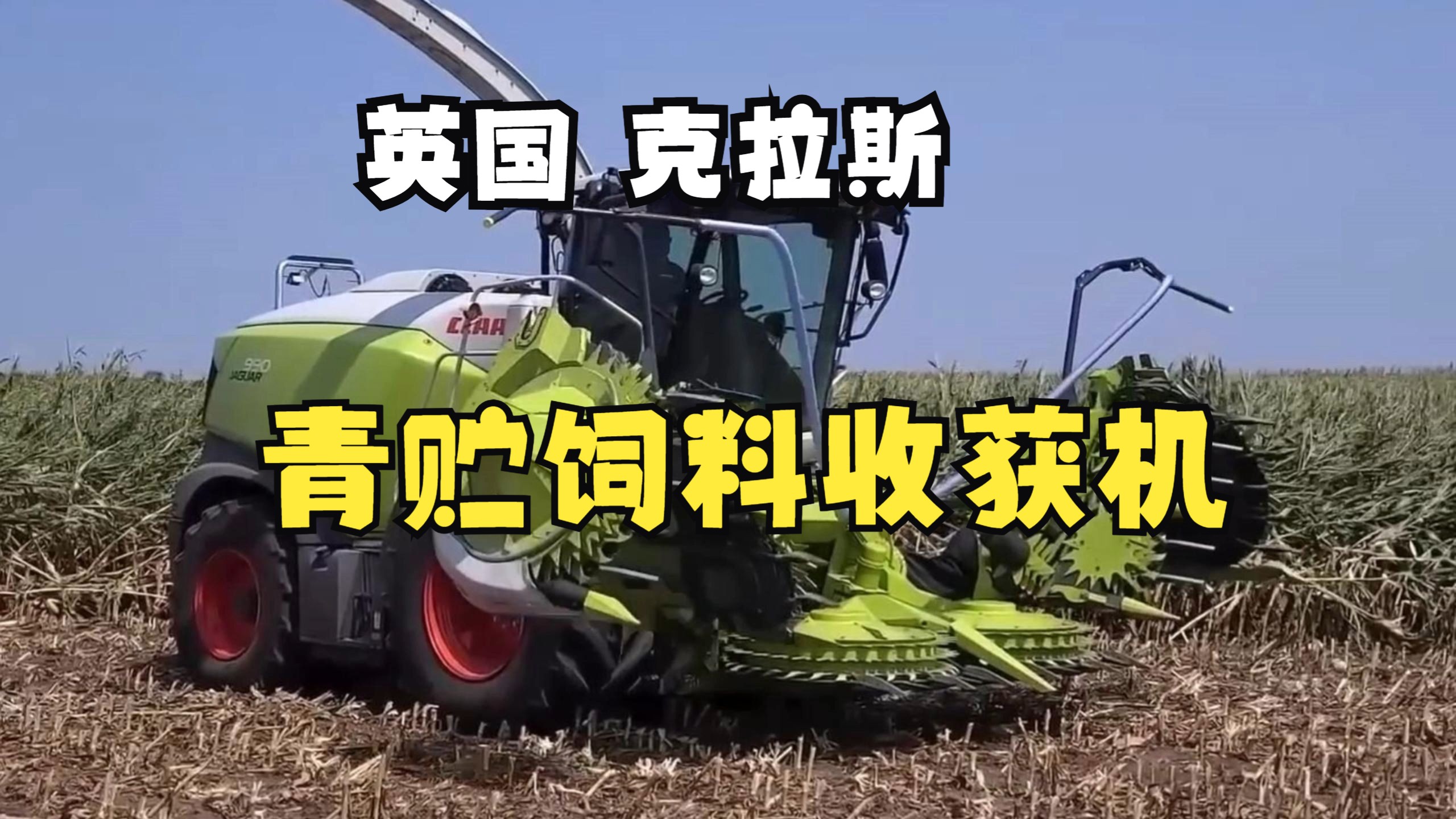 英国 claas(克拉斯)青贮收获机,jaguar自走式青贮饲料