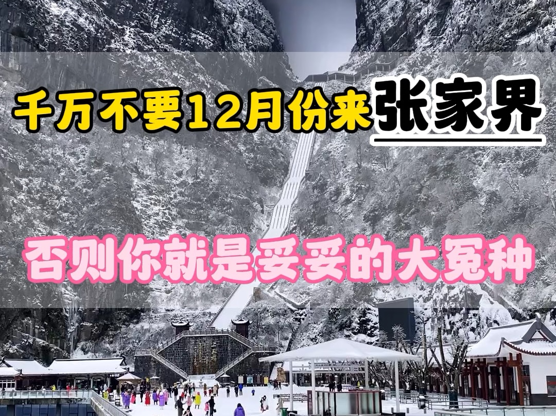 千万不要十二月份来张家界了,否则你就是妥妥的大冤种,现在网上很多攻略都是外地人写给外地人的#张家界旅游攻略 #湖南张家界 #张家界天门山#天门山...