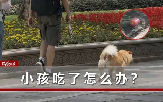 毒死狗 搜索结果 哔哩哔哩 Bilibili