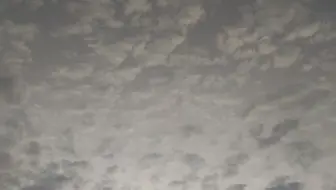 坚持晨跑，一周期