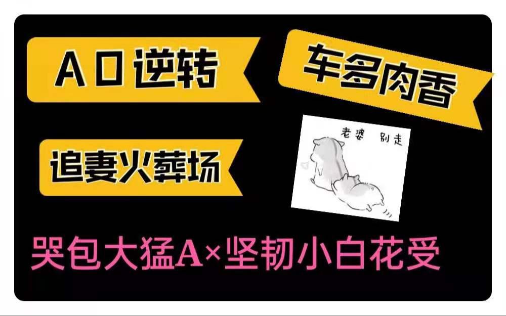 【纯爱推文】大猛A变身小哭包!虐攻先虐心,爽就完了!哔哩哔哩bilibili