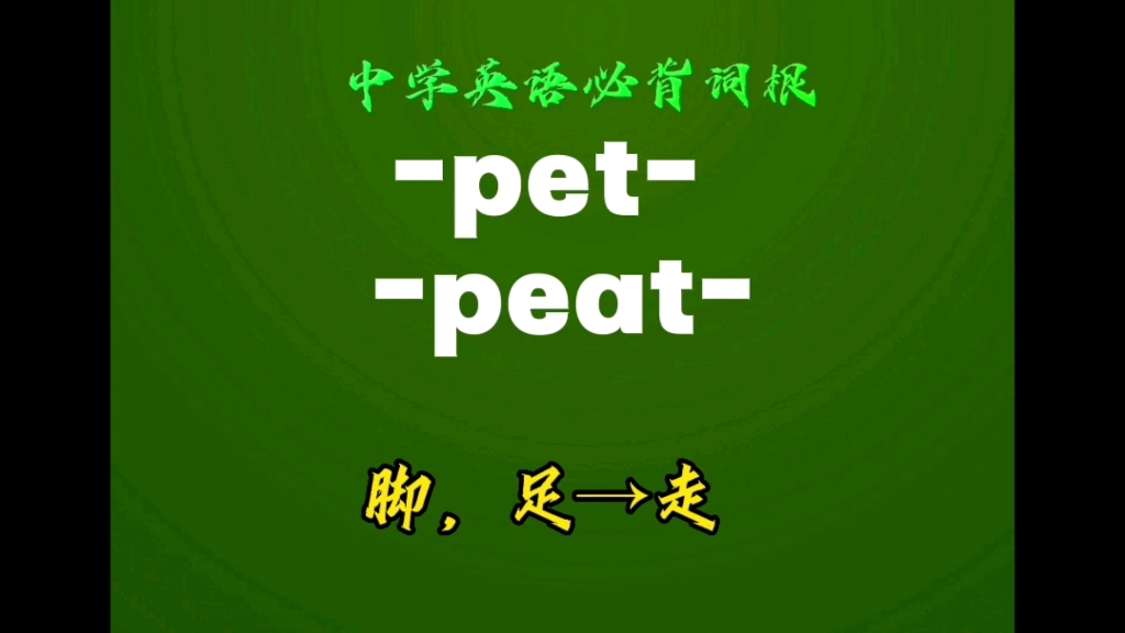 中学英语必背词根pet peat(4)脚,足→ 行走哔哩哔哩bilibili