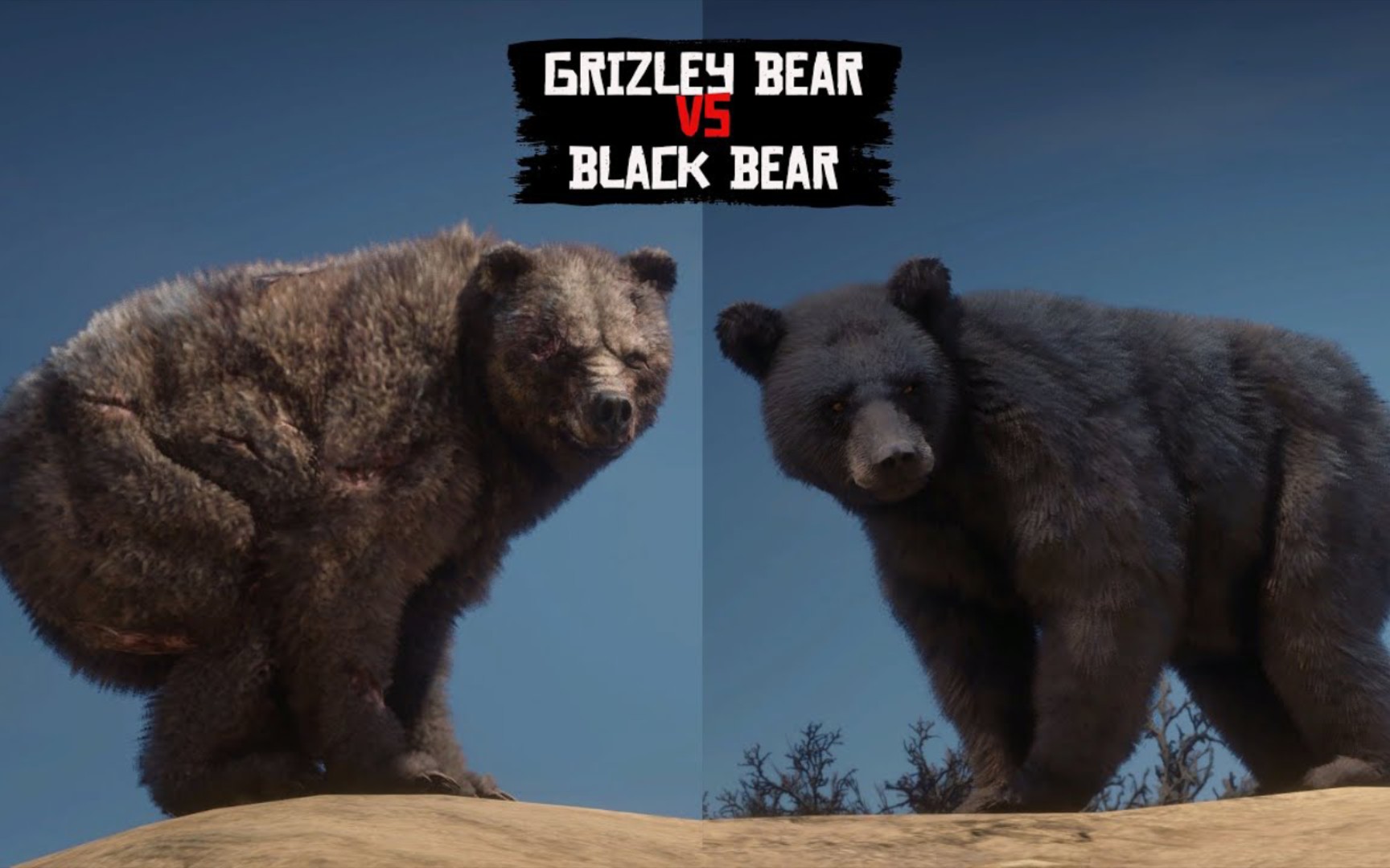 【荒野大镖客2】