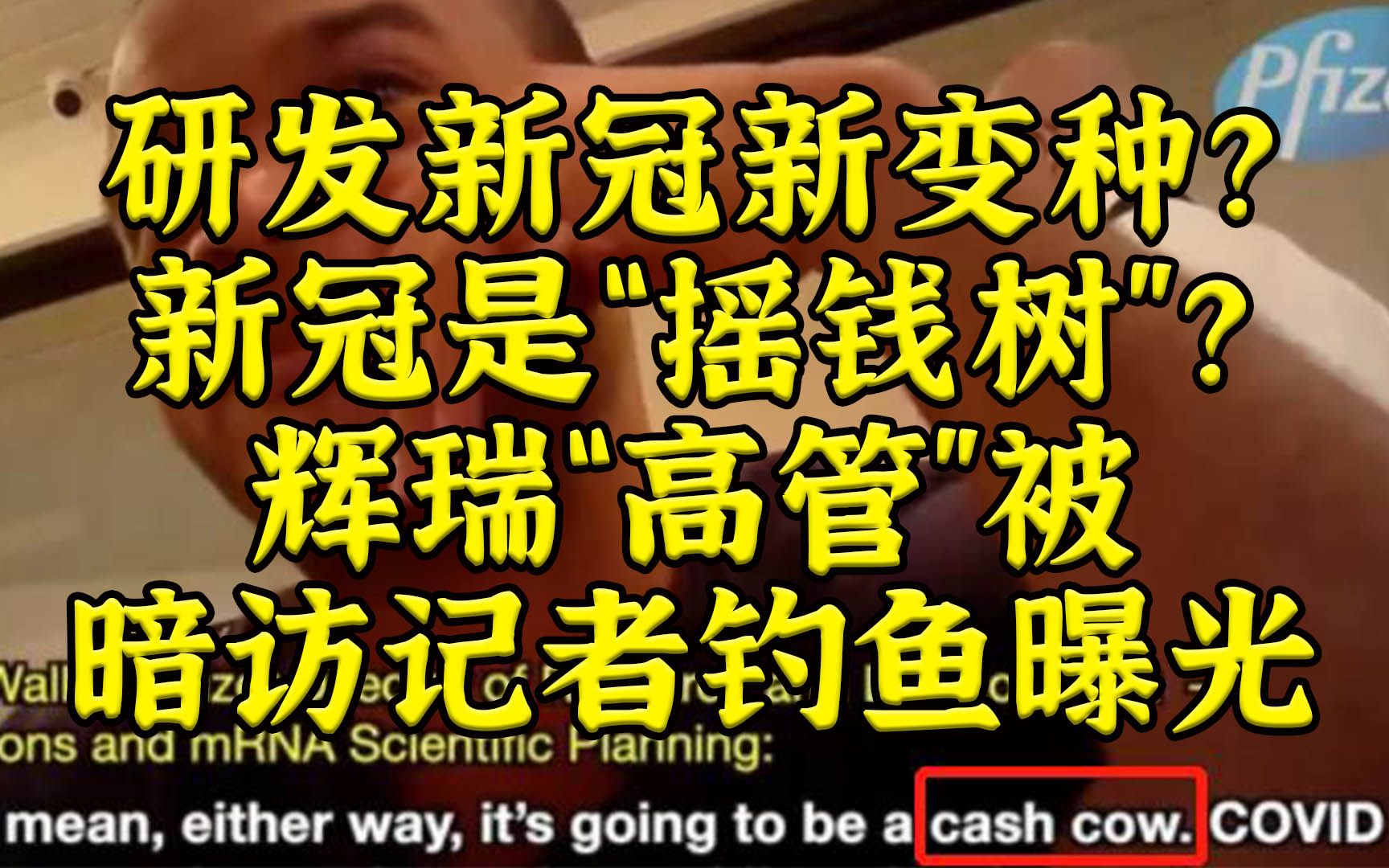 辉瑞高管暗访风波,新冠是“摇钱树”、还研发新冠新变种?哔哩哔哩bilibili