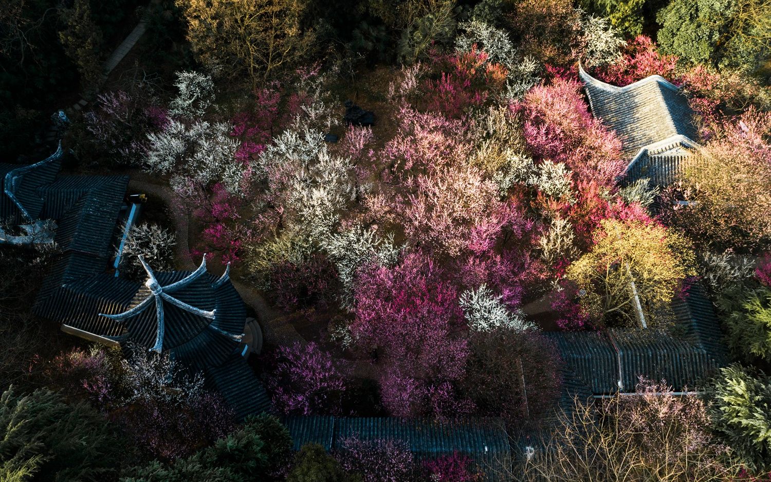 [图]满庭芳丨这里是陆游的沈园，是林逋的山园