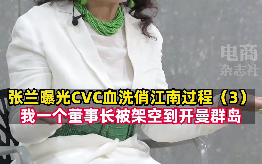 CVC给了俏江南的第一笔钱,刚交易完直接被申请冻结哔哩哔哩bilibili