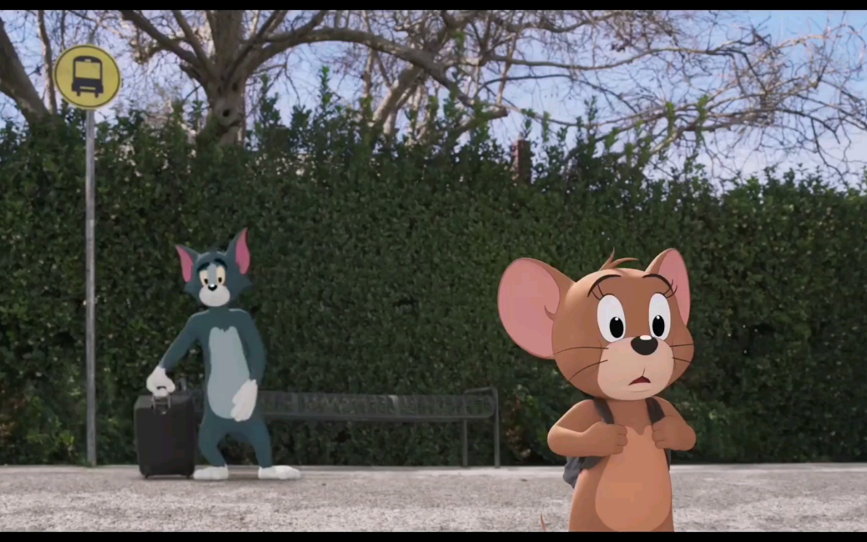 真人版的猫和老鼠你期待了吗