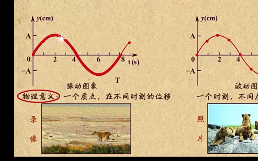 高中物理|【第三章 机械波】6 振动图像和波动图像