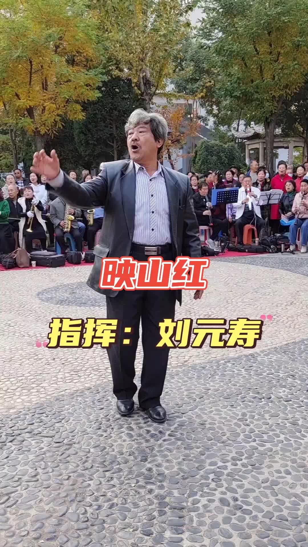 映山红哔哩哔哩bilibili