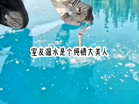 《青竹媚态》哔哩哔哩bilibili