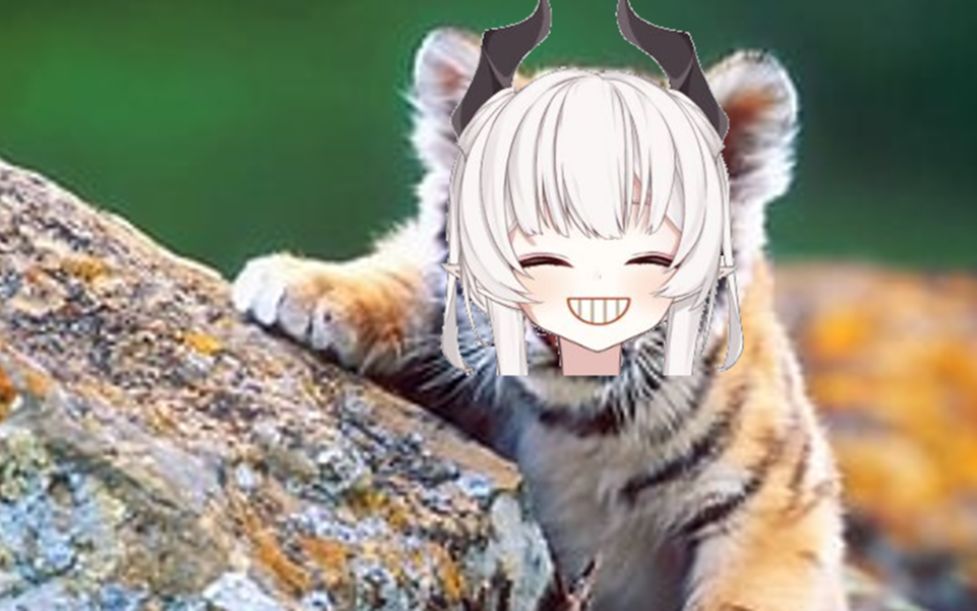 【早见咲saki】东北虎娘,你爱了吗