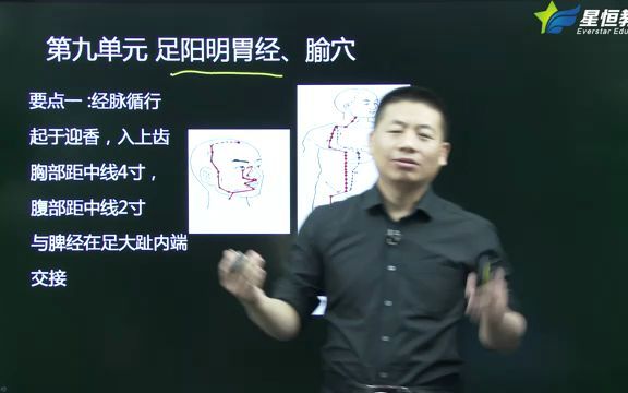 [图]针灸学足阳明胃经、腧穴+足太阴脾经、腧穴