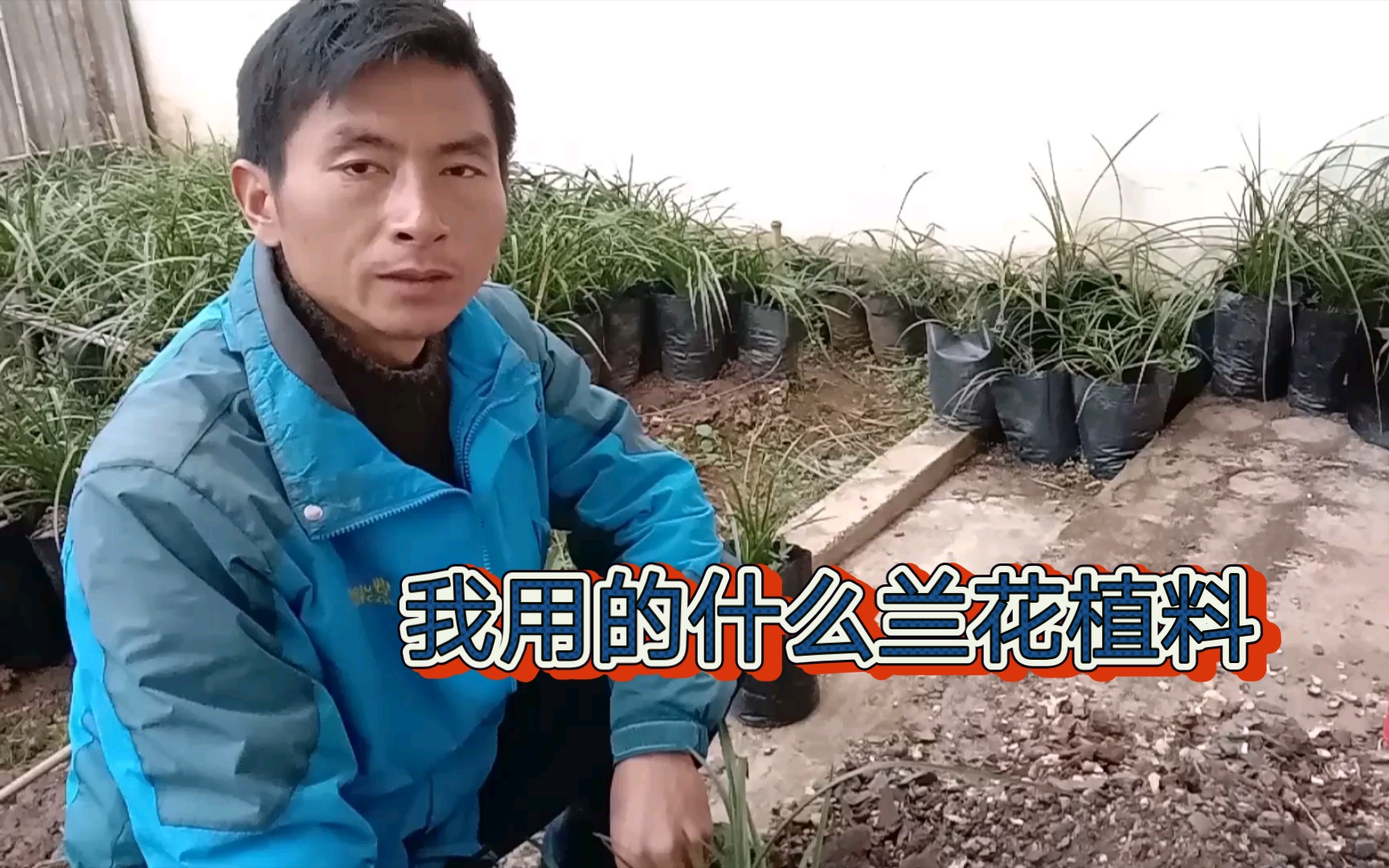 [图]都说我种的兰花好用的什么兰花植料？其实植料因地制宜，我很随意