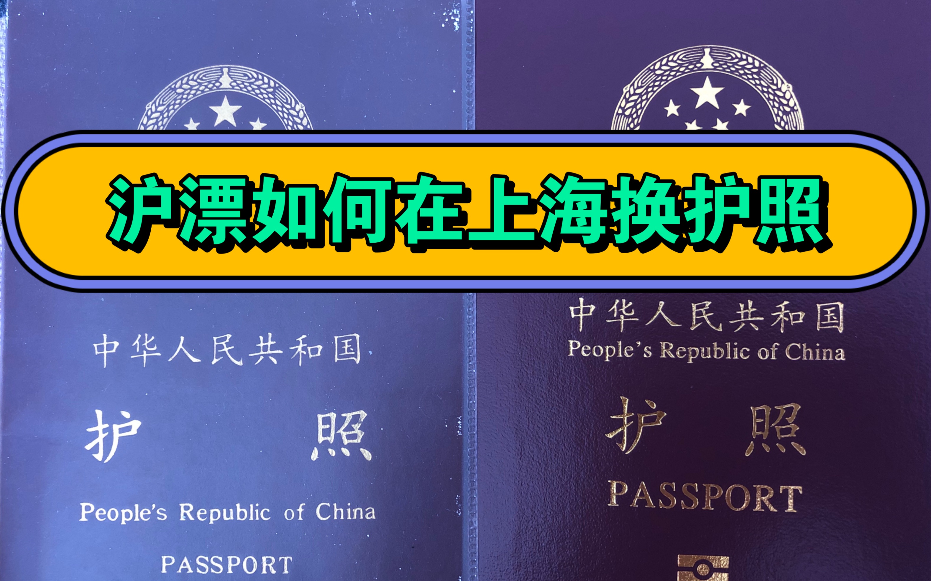 【80后处女日记】外地人如何在上海更换护照?详细步骤保姆级教程哔哩哔哩bilibili