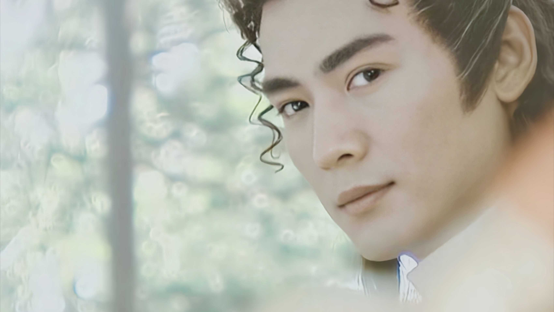 【焦恩俊|李寻欢】城南花已开