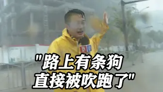 Tải video: 看看新闻记者直击台风登陆：路上有条狗直接被吹跑了！大楼被狂风吹得嘎嘎作响