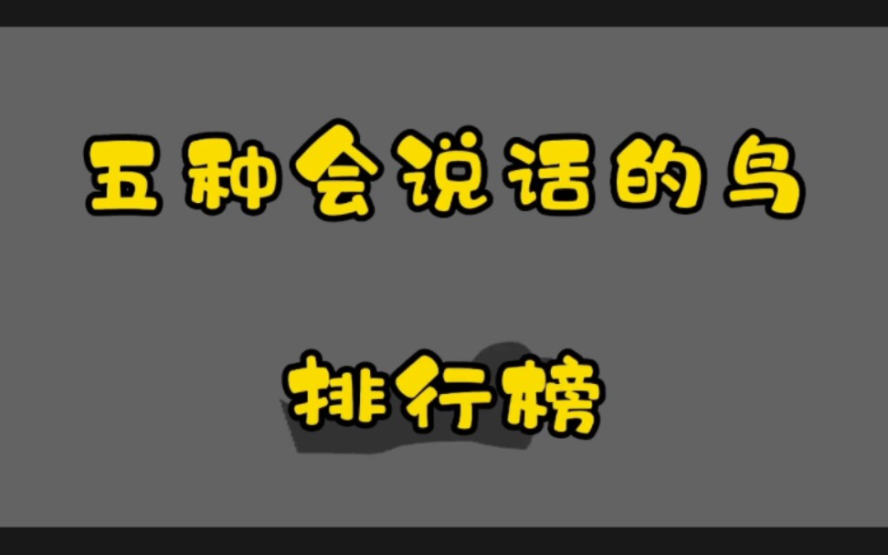 盘点那些会说话的鸟,你都认识几种?哔哩哔哩bilibili