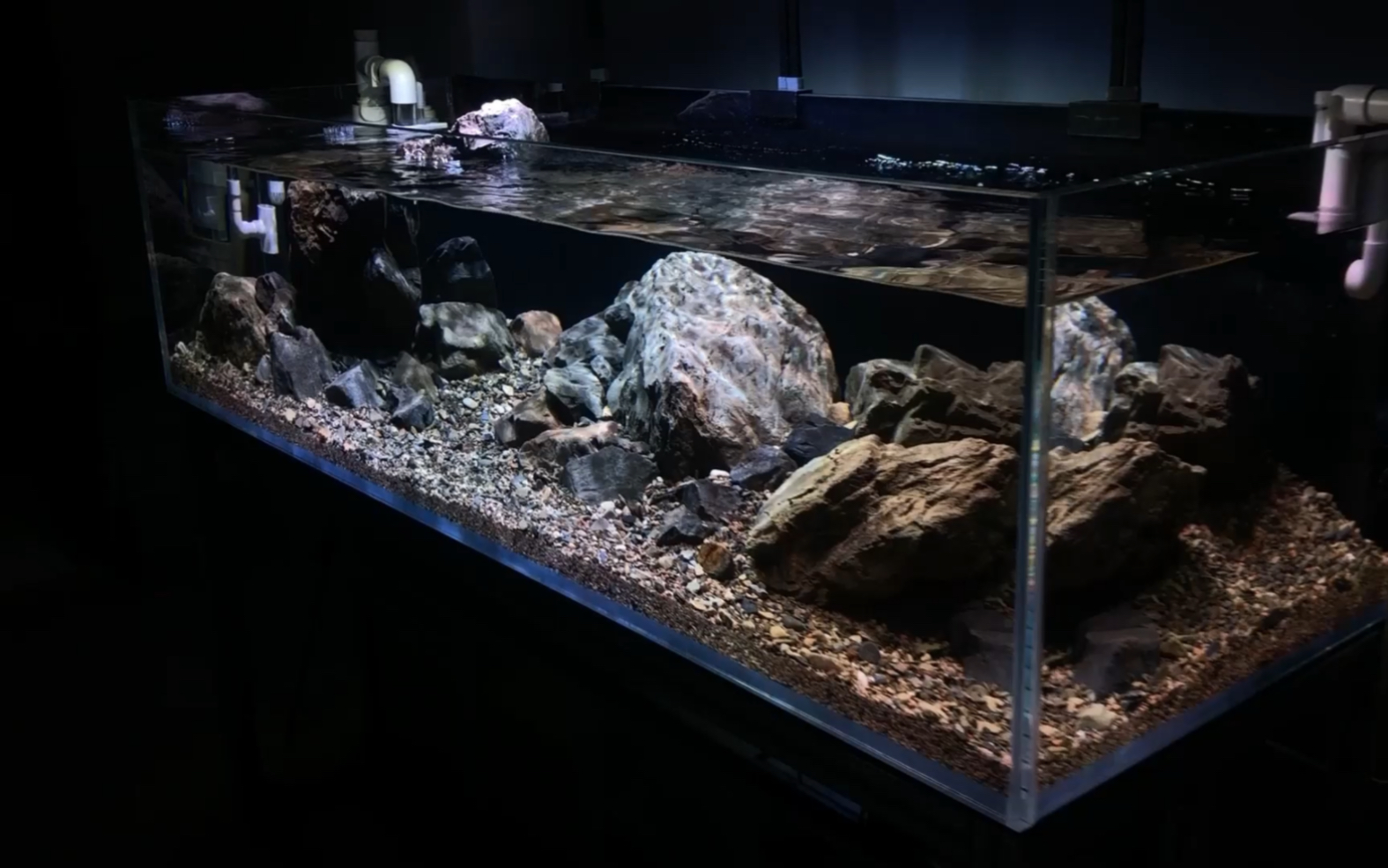 150×50×40解说版原生溪流缸造景教程,新手必看