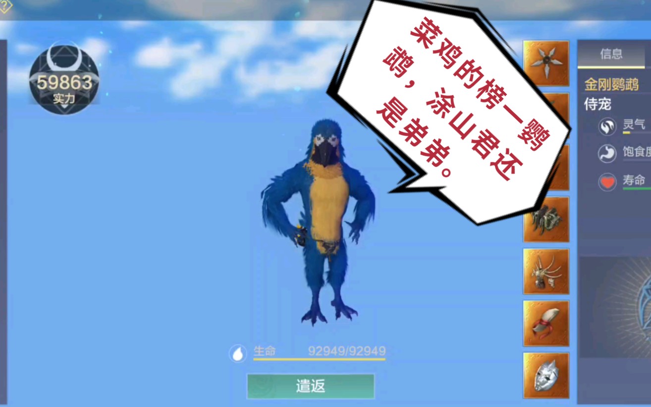 妄想山海震惊一个无名菜鸟怎么把鹦鹉养成榜一的附属性图装备技能图