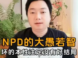 NPD的大愚若智