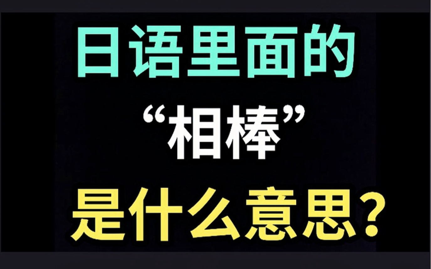 日语里的“相棒”是什么意思?【每天一个生草日语】哔哩哔哩bilibili